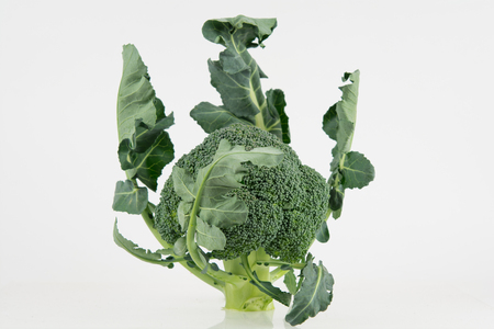 Fresh raw  broccoli with leaves isolated on whiteの写真素材