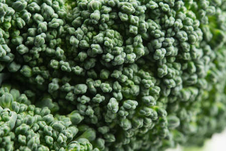 Fresh raw broccoli macro texture, real close upの写真素材