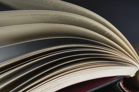 Close up at the pages of an open bookの写真素材