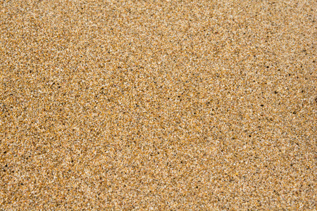 close up of wet golden sand textureの写真素材