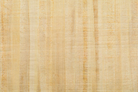 Blank traditional Egyptian papyrus paper background  patternの写真素材