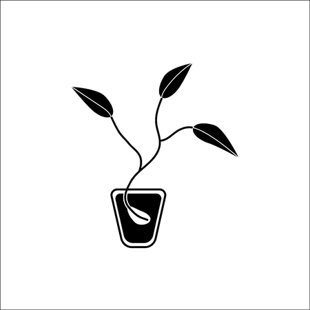Seed vector icon.のイラスト素材