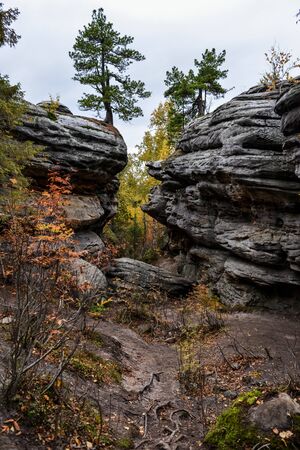 The path between two large rocks, on the rocks pinesの写真素材