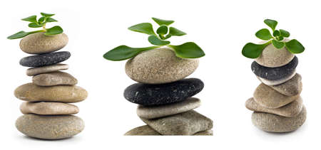 Birth of life - collection of balanced stone towers with plants on the top over whiteの写真素材