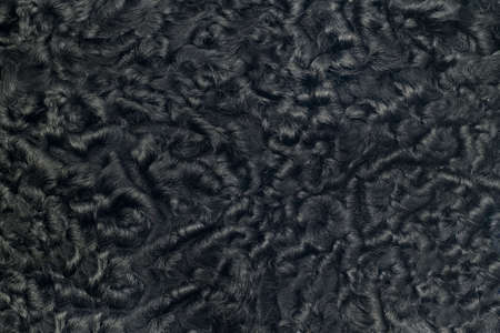 Closeup of black sheepskin fur. Useful as backgroundの写真素材