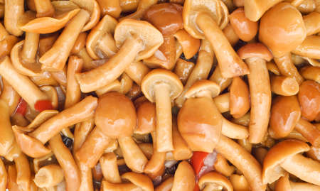 Food background - tasty champignons with pepper and onionの写真素材