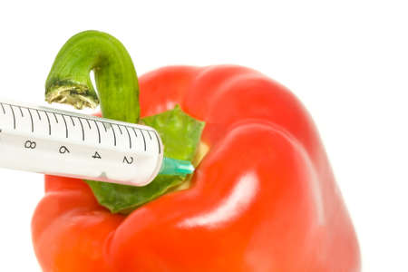 Genetically modified products - pepper and syringe on whiteの写真素材