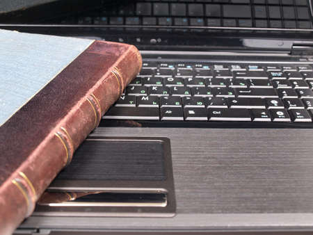 Alligator skin font US dollar symbol and hyphen isolated on whiteの写真素材