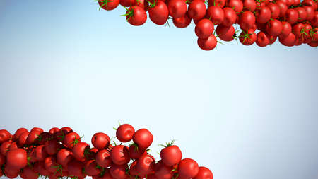 Two Tomatoe Cherry flows with space for text over colorful backgroundの写真素材