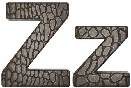 Alligator skin font Z lowercase and capital letters isolated on whiteの写真素材