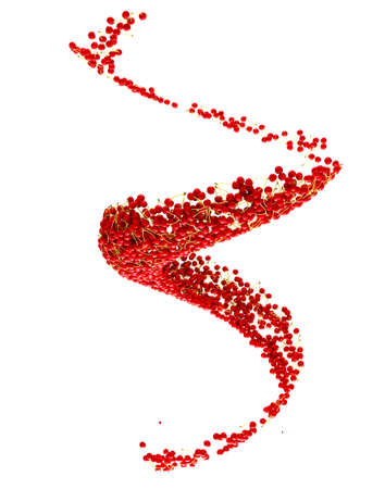 Fruit crop: Red cherry flow isolated on white backgroundの写真素材