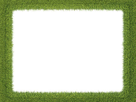 Green fresh grass frame: ecology and environment. Isolated on whiteの写真素材