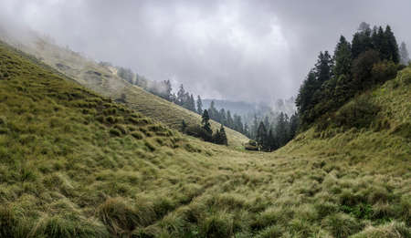 Cloudy Himalaya hills and forests in Nepal. Trekking in Himalayas. Mohare Danda trek