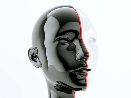 Black and white human head separated by red line as symbol of balance and diversity, 3d render, illustraionの写真素材
