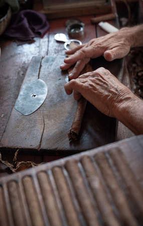Cigar rolling or making by torcedor in cuba, Pinar del rio provinceの写真素材