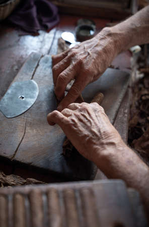 Cigar rolling or making by torcedor in cuba, Pinar del rio provinceの写真素材