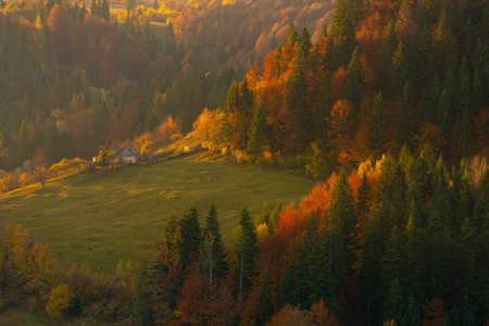 Autumn foliage trees in the mountains. Meadow with haystack and forest in the Carpathian mountainsの写真素材