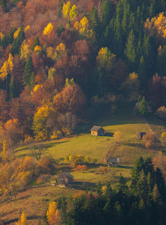 Village Houses and autumn foliage trees in the mountains. Meadow and forest in the carpathian mountainsの写真素材