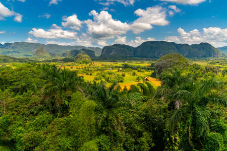 Vinales Valley popular tourist site in Pinar del Rio Province, Cubaの写真素材