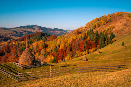 Autumn forest trees in the mountains panorama trees in the mountains Meadow with haystackの写真素材