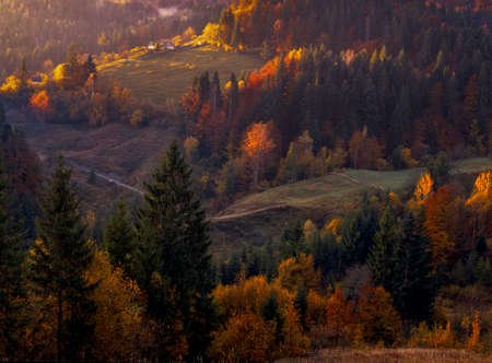 Autumn foliage trees in the mountains. Meadow with haystack and forest in the Carpathian mountainsの写真素材