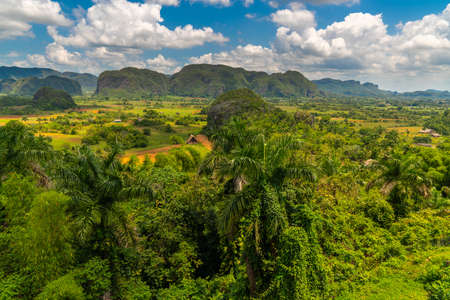 Vinales Valley popular tourist site in Pinar del Rio Province, Cubaの写真素材