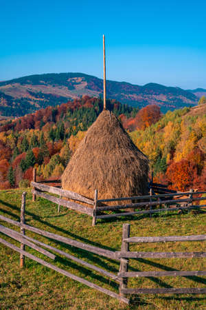 Autumn forest trees in the mountains panorama trees in the mountains Meadow with haystackの写真素材