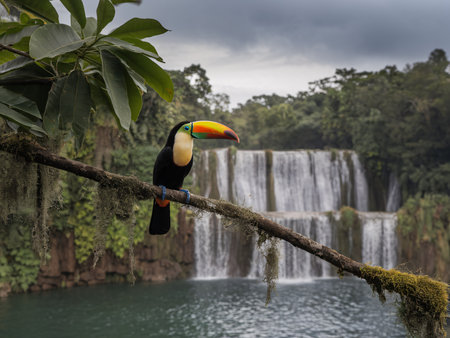 A vibrant toucan perched on a branch near a stunning waterfall in a lush green landscape.の素材
