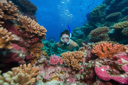Female swimmer exploring vibrant coral reef with snorkeling gear, surrounded by colorful marine life.の素材