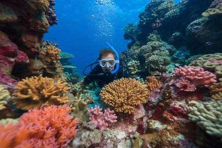 A young male diver explores vibrant coral reefs, showcasing the wonders of underwater marine life.の素材