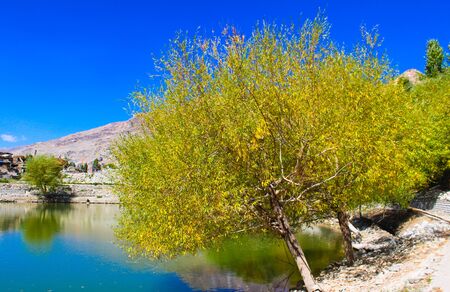 High altitude Nako lake in the Kinnaur district of spiti valley of himalayas with a contrast of green water and blue skyの写真素材