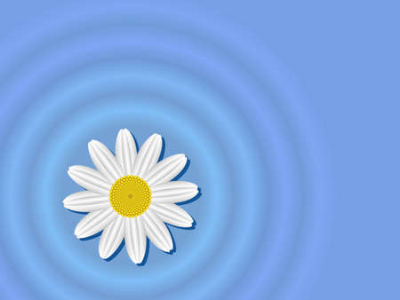 Chamomile flower on the water surfaceのイラスト素材