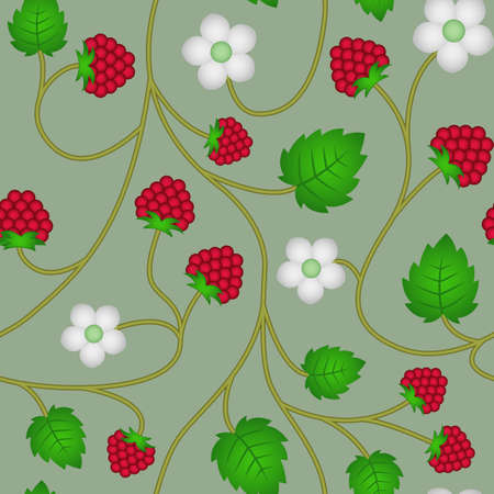 Raspberries seamless floral pattern background with raspberries for webのイラスト素材