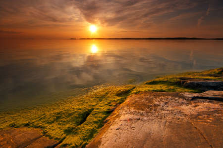 Summer evening in sea coast