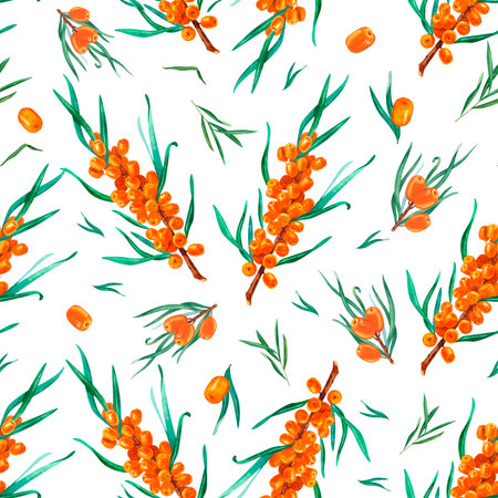 Natural organic sea buckthorn seamless pattern. Hand drawn watercolor on white background. Perfect for invitation, greeting cards and other design. Wild berries branches.の写真素材