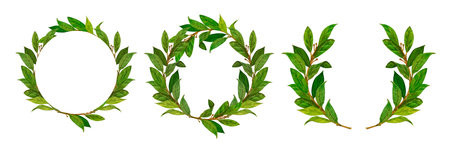 Watercolor set bay leaf wreath isolated on white background. Hand drawn illustration for sports achievements, awards, victories and success.Template for wedding invitation and save the date cards.の写真素材