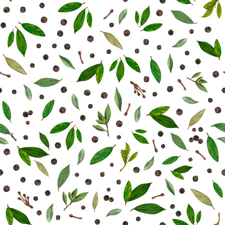 Seamless pattern bay leaves branches watercolor isolated on white background for all prints.