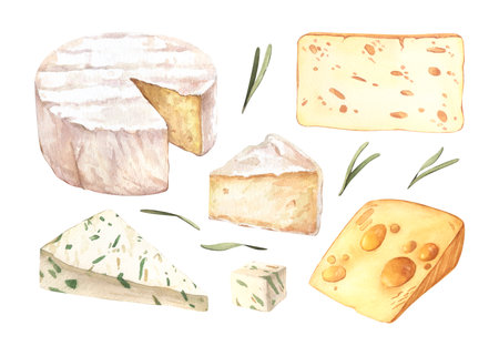 Cheeses with cutted pieces watercolor eimage. Creamy cutted brie or camembert cheese illustration. Delicious food image. French cuisine milk product. Tasty healthy cream organic snackの写真素材