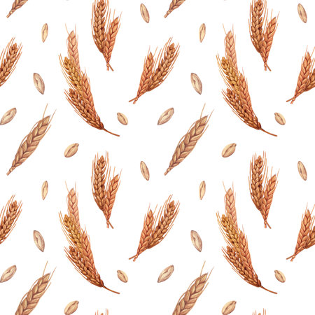 Watercolor seamless wheat spikelet pattern background with wheat spica, oats spikelet. Hand-drawn illustration isolated on white background. Perfect concept illustration for menu, bakeryの写真素材