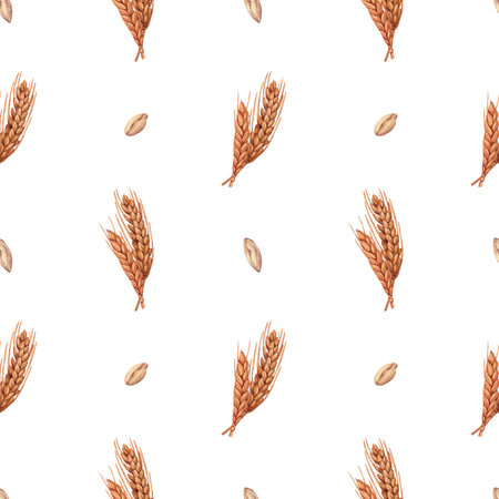 Watercolor seamless wheat spikelet pattern background with wheat spica, oats spikelet. Hand-drawn illustration isolated on white background. Perfect concept illustration for menu, bakeryの写真素材