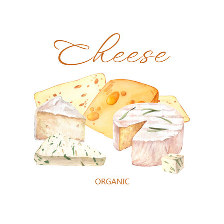 Cheeses with cutted pieces eimage. Creamy cutted brie or camembert cheese. French cuisine milk product. Tasty healthy organic snack. Watercolor hand-drawn illustration isolated on white background.の写真素材