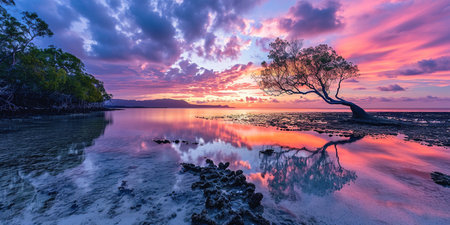 A silhouette of a tree on an island beach sunset landscape. Golden hour evening sky in the horizon. Mindfulness, meditation, calmness, serenity, relaxation concept backgroundの素材