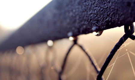 Early summer morning, dew and spider webs on a fence. Sunrise wallpaper backgroundの写真素材