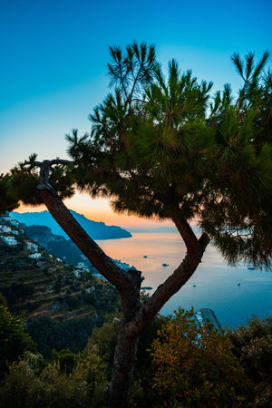 Beautiful view of the sea from the mountain between the trees at sunrise, Amalfi Coast in Campania, Italyの写真素材