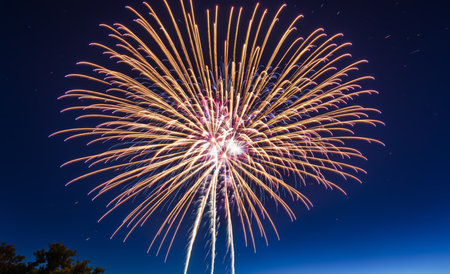 Colorful fireworks of various colors over night sky, celebration and anniversary conceptの素材