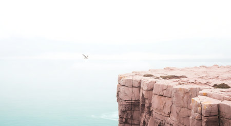Cliffside serenity A bird s journey over the pale sea and ancient rocks whispers tales of freedom and peace on the edgeの写真素材