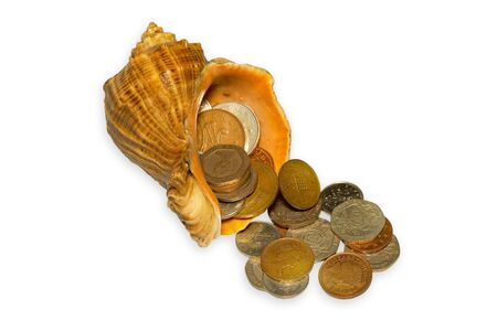 Shell with money on white backgroundの写真素材