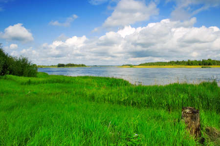 Coast of the river. Summerの写真素材