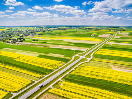 Road running through colorful fields. Crop fields seen from the air. Colorful rape field. Rural...