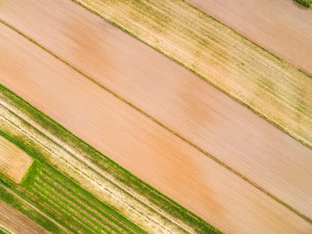 Cultivated fields seen from the bird's eye view. Lines and colors created by fields seen from the air.の写真素材
